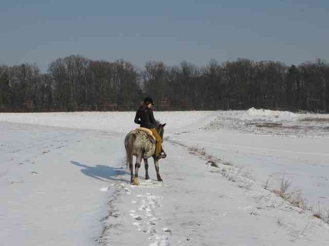 Ausreiten